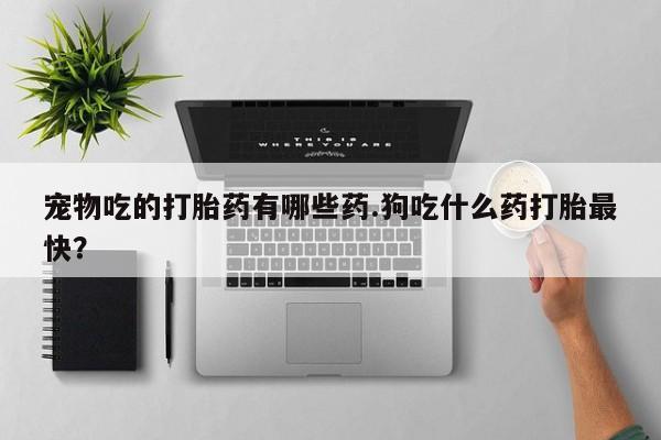 求买打胎药微信号宠物吃的打胎药有哪些药.狗吃什么药打胎最快？