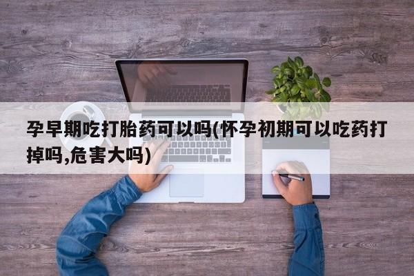 求买打胎药微信号孕早期吃打胎药可以吗(怀孕初期可以吃药打掉吗,危害大吗)