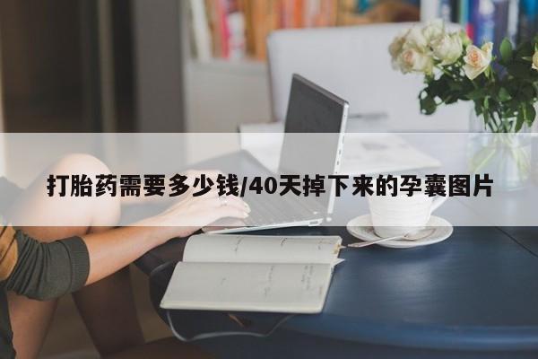 求买打胎药微信号打胎药需要多少钱/40天掉下来的孕囊图片